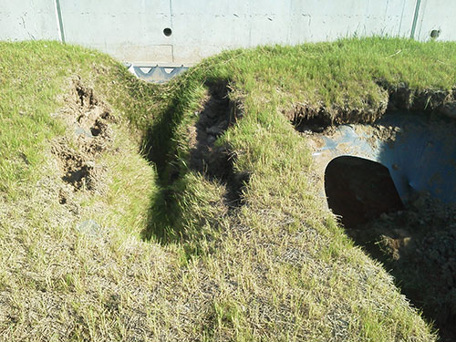 Sinkhole in Basin